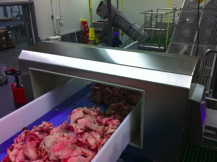 Coil inspecting bulk beef | Metal Detectors