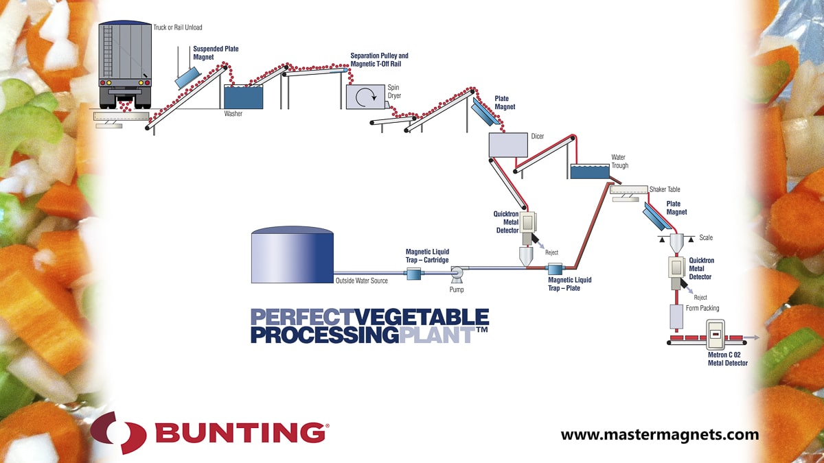 Perfect Vegetable Processing