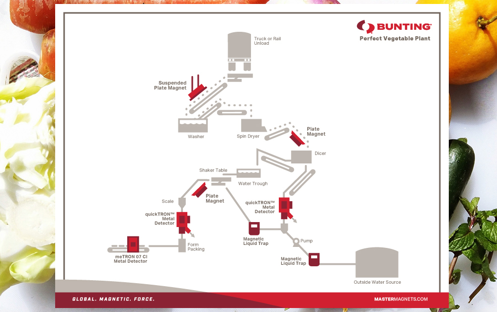 Bunting-Vegetable plant diagram